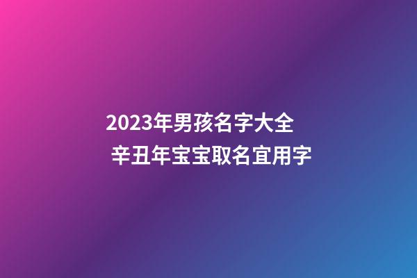 2023年男孩名字大全 辛丑年宝宝取名宜用字